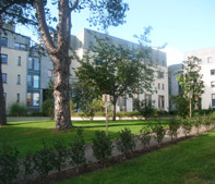 Marino Institute